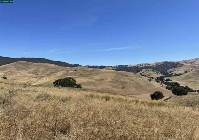 1st image of 0 Finley Rd, Danville, CA 94506 | MLS# 41137584