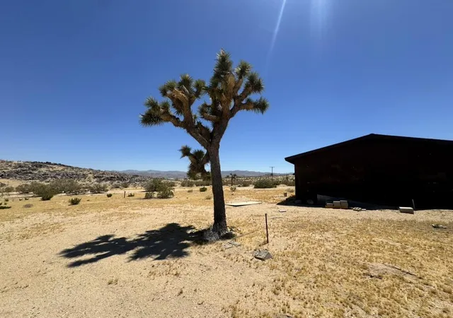 1st image of 62157 Aberdeen Dr, Joshua Tree, CA 92252 | MLS# 219148926DA