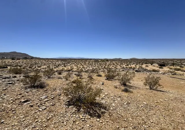 20th image of 62157 Aberdeen Dr, Joshua Tree, CA 92252 | MLS# 219148926DA