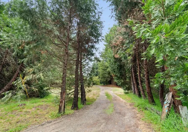 Homes for sale in Watsonville, CA | 163 Buzzard Lagoon Rd, Watsonville, CA 95076 | MLS# ML82049721