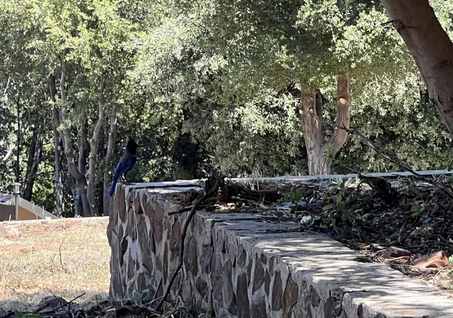 19th image of Harrison Park Rd, Julian, CA 92036 | MLS# PTP2604414
