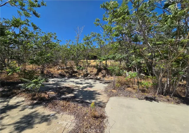 22nd image of 37210 Bohlen, Anza, CA 92539 | MLS# SW26111881