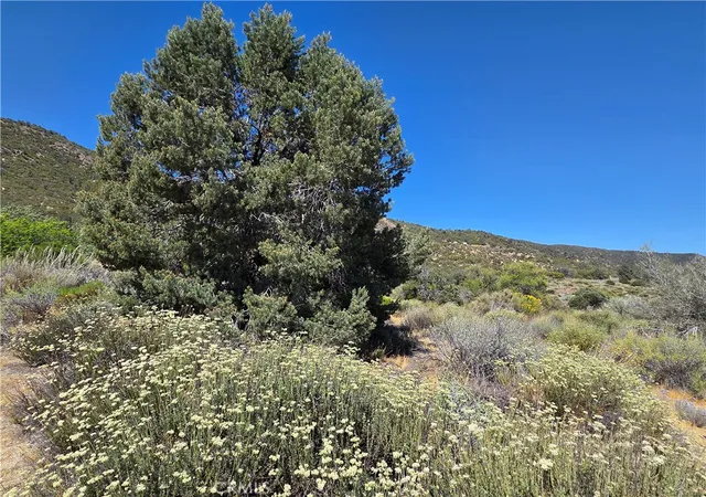 2nd image of 37210 Bohlen, Anza, CA 92539 | MLS# SW26111881