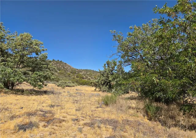 5th image of 37210 Bohlen, Anza, CA 92539 | MLS# SW26111881