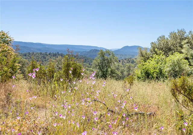 2nd image of 49 Acres Old Yosemite Rd, Oakhurst, CA 93644 | MLS# MP26125572
