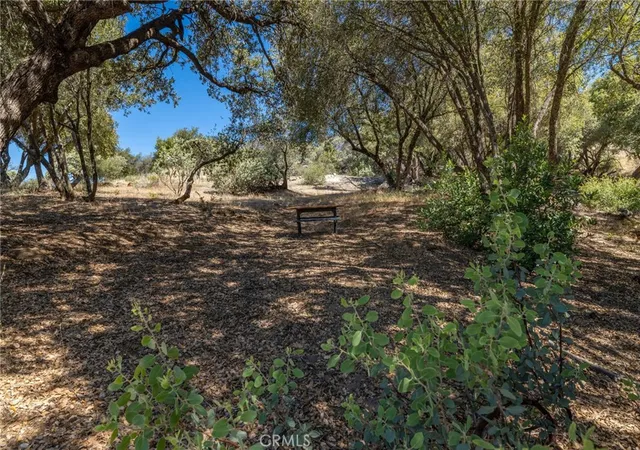 3rd image of 49 Acres Old Yosemite Rd, Oakhurst, CA 93644 | MLS# MP26125572
