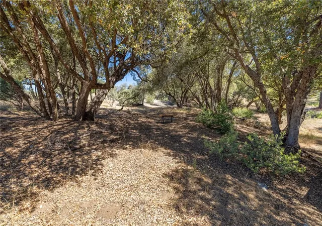 4th image of 49 Acres Old Yosemite Rd, Oakhurst, CA 93644 | MLS# MP26125572