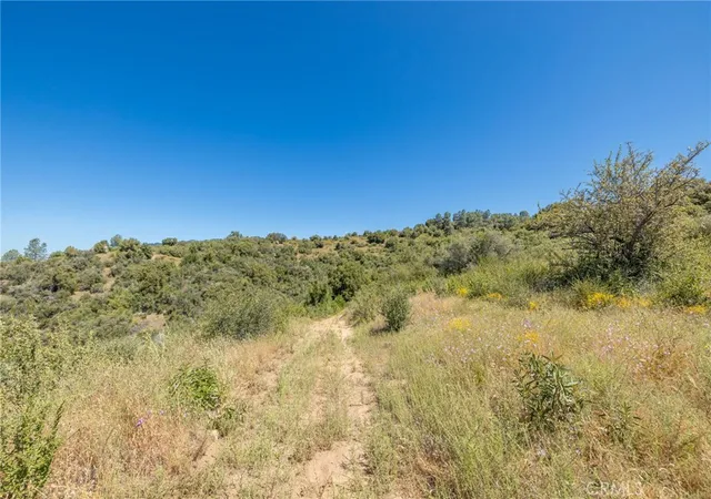 4th image of 99 Acres Old Yosemite Rd, Oakhurst, CA 93644 | MLS# MP26125602