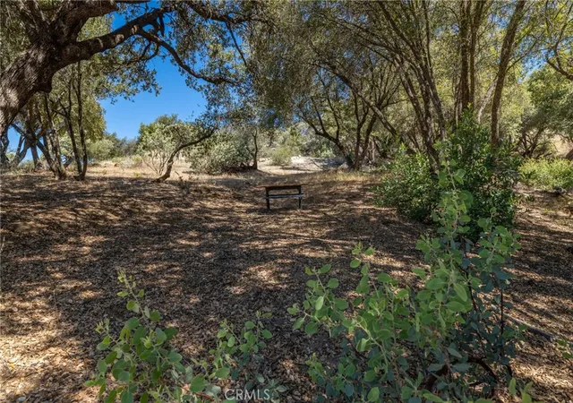 2nd image of 149 Acres Old Yosemite Rd, Oakhurst, CA 93644 | MLS# MP26125652