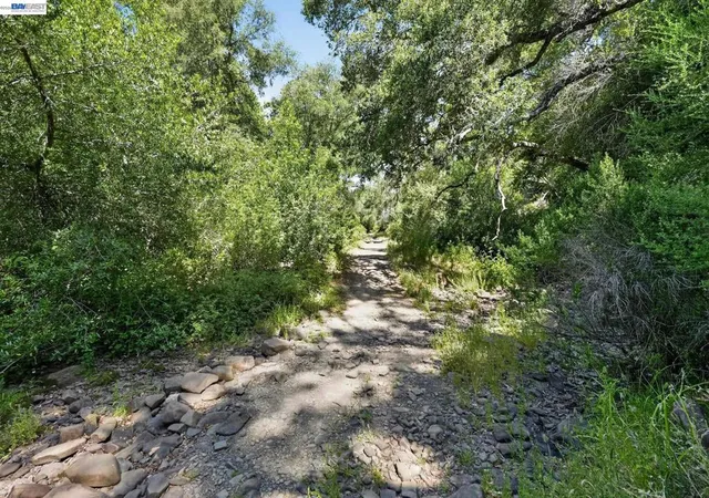 34th image of 2989 Singalong Way, Sunol, CA 94586 | MLS# 41137707