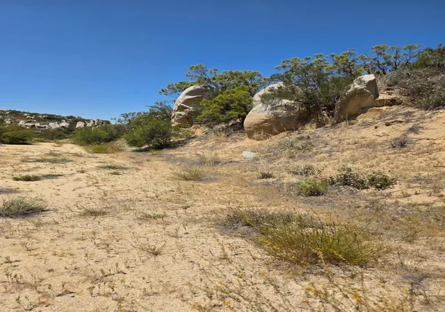 6th image of 789 Crazy Horse Canyon Dr, Aguanga, CA 92536 | MLS# PTP2604433