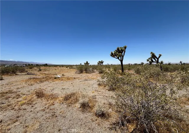1st image of 0 Danbury Rd, Pinon Hills, CA 92372 | MLS# SW26125705