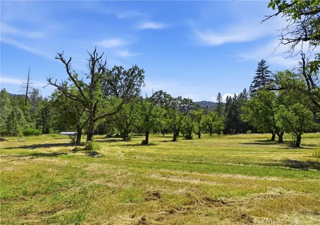 Homes for sale in Middletown, CA | 22550 Shady Grove Rd, Middletown, CA 95461 | MLS# LC26109527