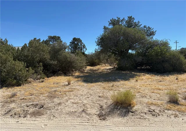 1st image of 0 Chillon Hts, Mountain Center, CA 92561 | MLS# SW26125995