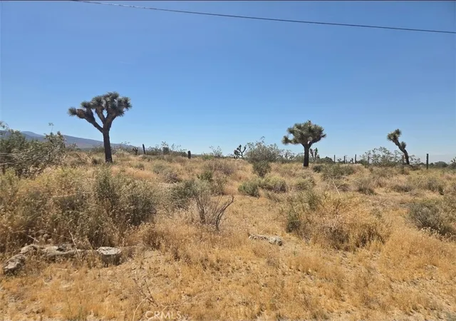 2nd image of 11524 Wintergreen Rd, Pinon Hills, CA 92372 | MLS# CV26125648