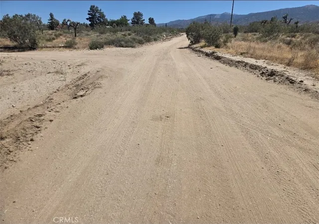 5th image of 11524 Wintergreen Rd, Pinon Hills, CA 92372 | MLS# CV26125648