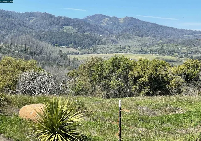 3rd image of 558 Community Hall Ln, Saint Helena, CA 94574 | MLS# 41137780