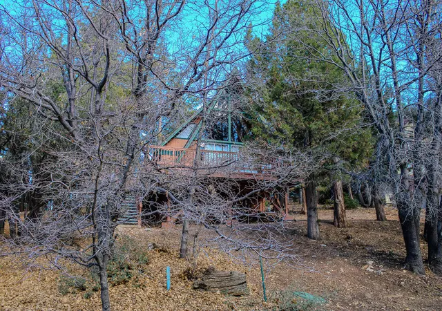 36th image of 1500 Wolf Rd, Big Bear City, CA 92314 | MLS# 219149025PS