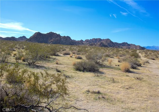 11th image of 7130 Sunfair Rd, Joshua Tree, CA 92252 | MLS# JT26126578