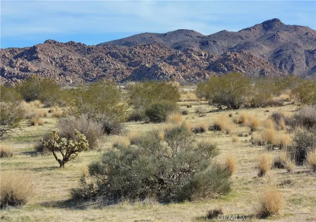 1st image of 7130 Sunfair Rd, Joshua Tree, CA 92252 | MLS# JT26126578