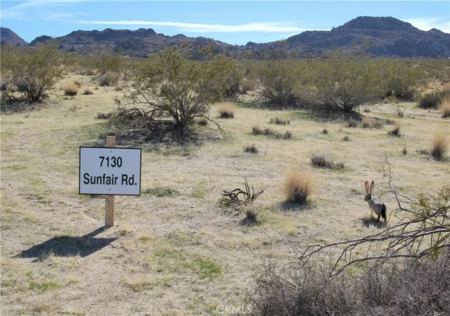 2nd image of 7130 Sunfair Rd, Joshua Tree, CA 92252 | MLS# JT26126578