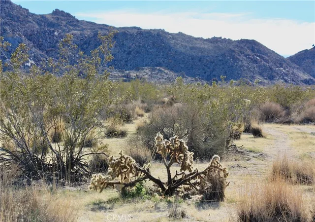 Photo 1 of Land for sale at 64647 Foothill Dr, Joshua Tree, CA 92252 | MLS# JT26126589 | Listing updated on 2026-06-10