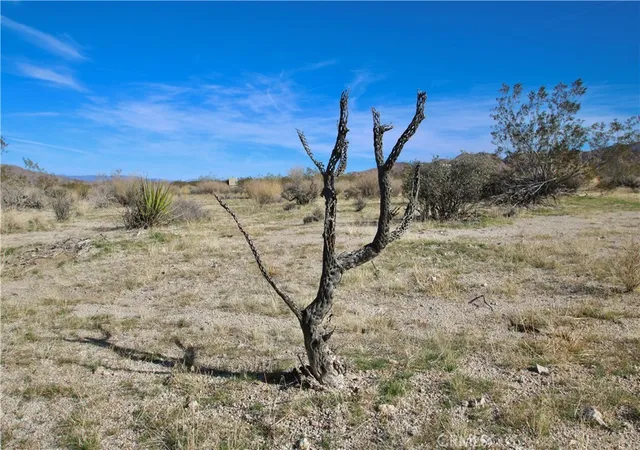 12th image of 64755 Foothill Dr, Joshua Tree, CA 92252 | MLS# JT26126599