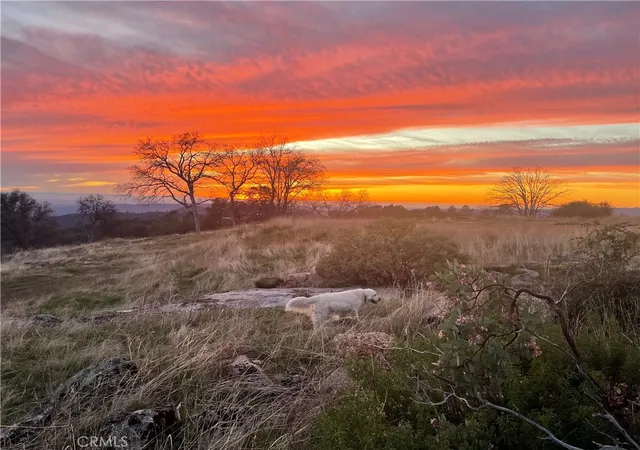 1st image of 0 Buggy Whip Dr, Coarsegold, CA 93614 | MLS# FR26126709