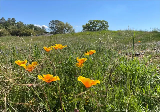Photo 3 of Land for sale at 0 Buggy Whip Dr, Coarsegold, CA 93614 | MLS# FR26126709 | Listing updated on 2026-06-11
