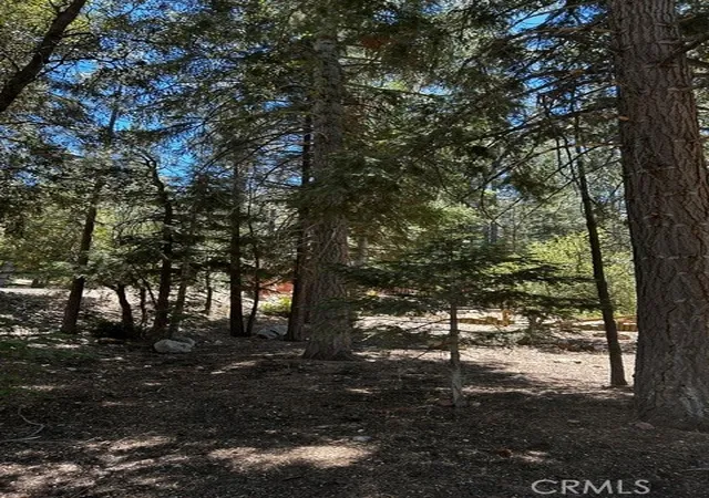 Photo 2 of Land for sale at 1221 Azalea Dr, Pine Mountain Club, CA 93222 | MLS# SR26127749 | Listing updated on 2026-06-11
