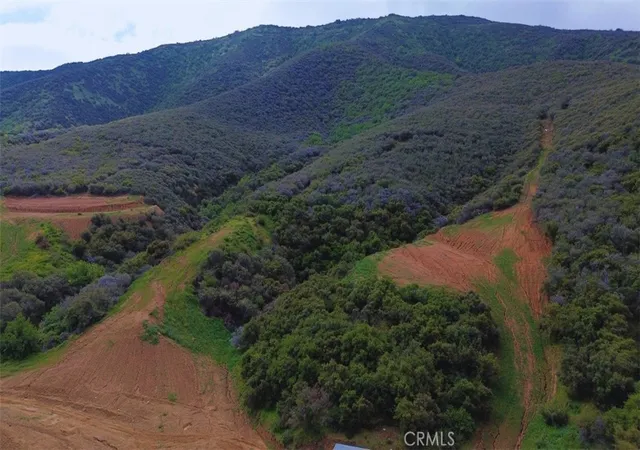 19th image of 2 Plummers Ln, Mentone, CA 92359 | MLS# IG26127468