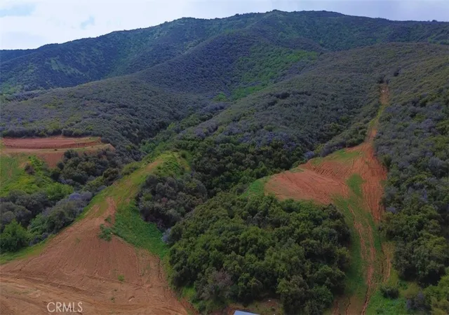 19th image of 1 Plummers Ln, Mentone, CA 92359 | MLS# IG26127447