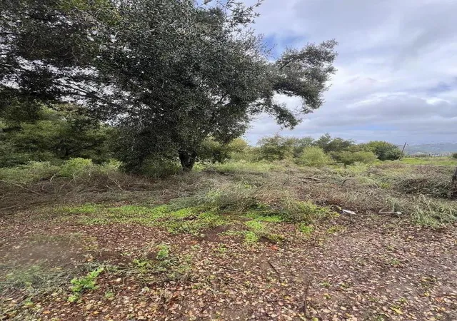 4th image of 18445 Black Rd, Los Gatos, CA 95033 | MLS# ML82050758