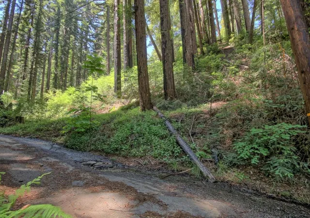 11th image of 154 Leafwood Dr, Boulder Creek, CA 95006 | MLS# ML82050807