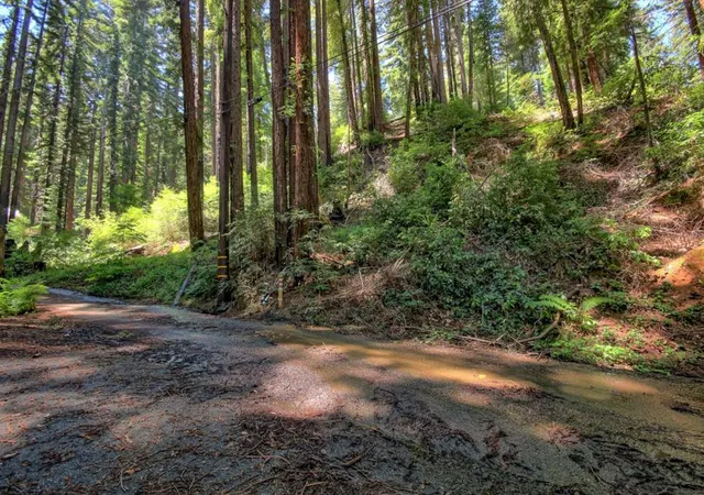 1st image of 154 Leafwood Dr, Boulder Creek, CA 95006 | MLS# ML82050807