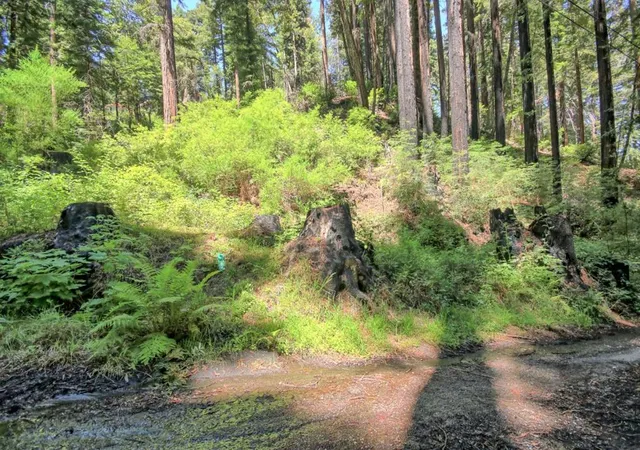 2nd image of 154 Leafwood Dr, Boulder Creek, CA 95006 | MLS# ML82050807