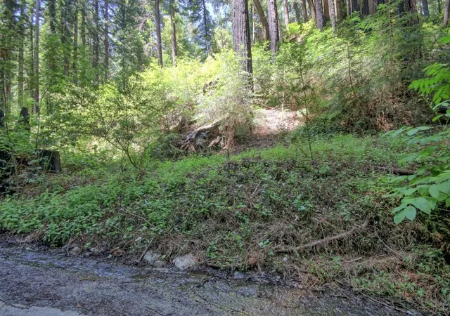 3rd image of 154 Leafwood Dr, Boulder Creek, CA 95006 | MLS# ML82050807