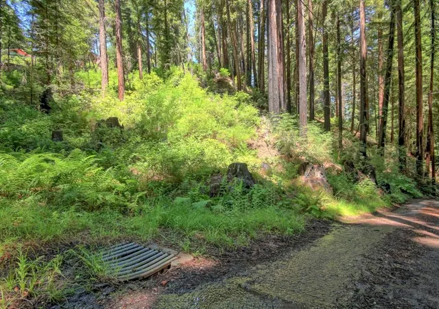 5th image of 154 Leafwood Dr, Boulder Creek, CA 95006 | MLS# ML82050807