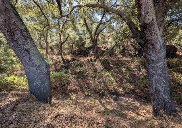 33rd image of 18868 Paradise Mountain Rd, Valley Center, CA 92082 | MLS# NDP2605681