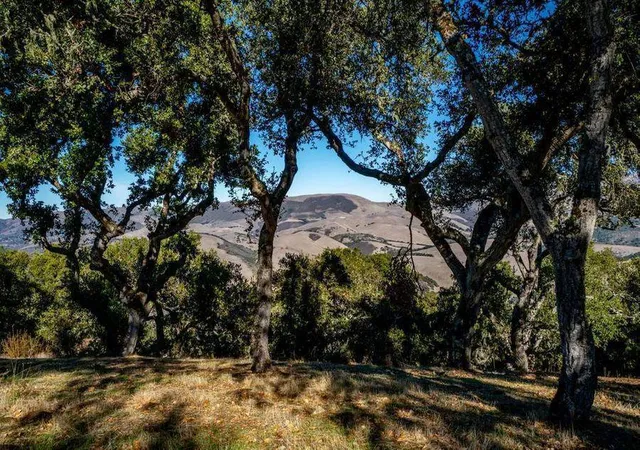 Homes for sale in Carmel Valley, CA | 17114 Cachagua Rd, Carmel Valley, CA 93924 | MLS# ML82050886