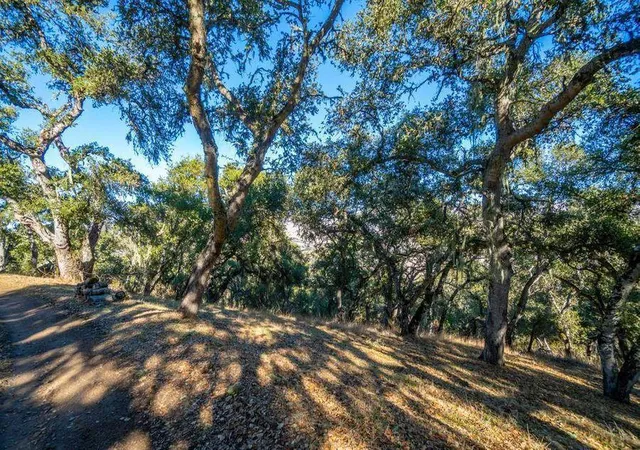 Homes for sale in Carmel Valley, CA | 17114 Cachagua Rd, Carmel Valley, CA 93924 | MLS# ML82050886