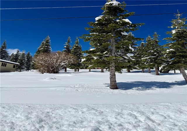 Homes for sale in Truckee, CA | 11784 Rhineland, Truckee, CA 96161 | MLS# OC26128826