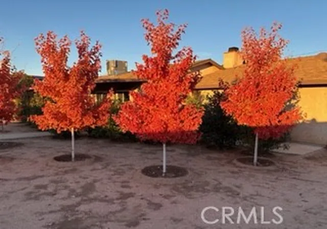 48th image of 7344 Oxford Ave, Hesperia, CA 92345 | MLS# HD26128119