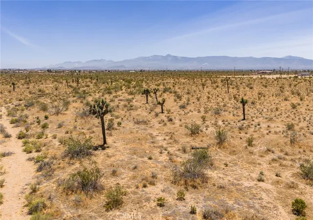 12th image of 0 Coughlin Rd, Phelan, CA 92371 | MLS# HD26127284