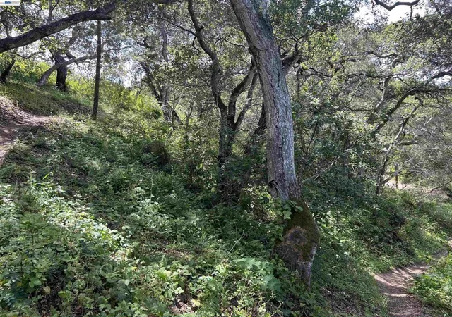 1st image of 00 Marburger Ave, Belmont, CA 94002 | MLS# 41138347