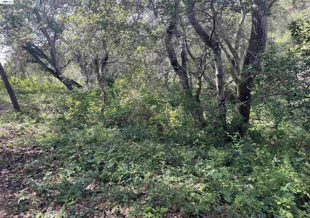 2nd image of 00 Marburger Ave, Belmont, CA 94002 | MLS# 41138347