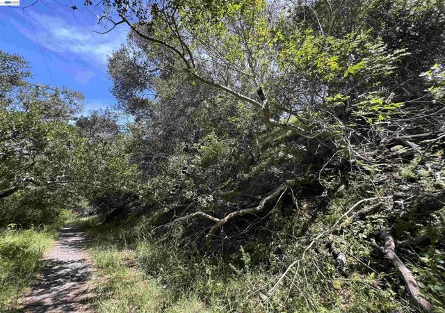 3rd image of 00 Marburger Ave, Belmont, CA 94002 | MLS# 41138347