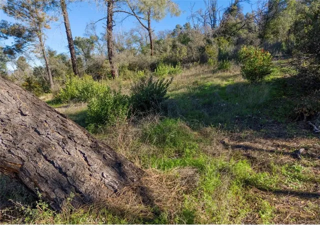Photo 4 of Land for sale at 3522 Filmore Ave, Clearlake, CA 95422 | MLS# LC26129946 | Listing updated on 2026-07-13