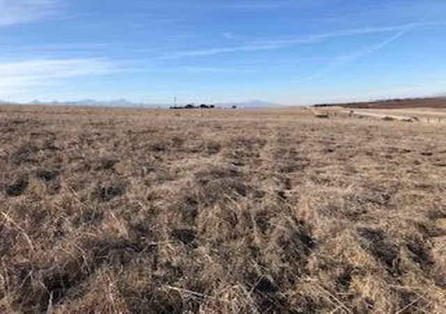 Homes for sale in San Ardo, CA | (Undisclosed), San Ardo, CA 93450 | MLS# ML82051069