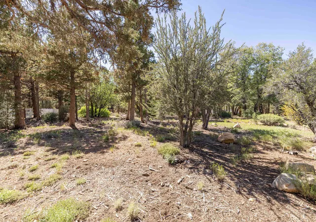 Photo 2 of Land for sale at 655 Cedar Glen Dr, Big Bear City, CA 92314 | MLS# 219149230PS | Listing updated on 2026-06-15